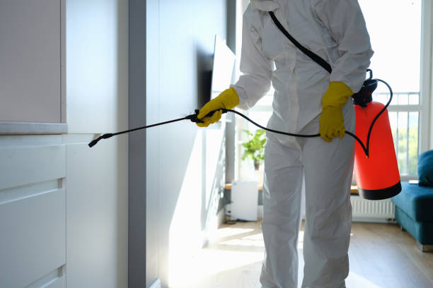 Best Fast Mold Removal  in Everson, WA