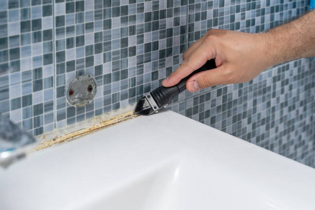 Best Residential Mold Removal  in Everson, WA