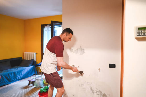 Best Residential Mold Removal  in Everson, WA