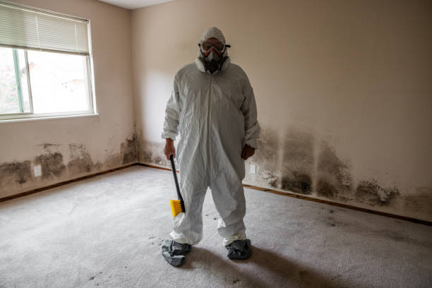 Best Professional Mold Removal  in Everson, WA